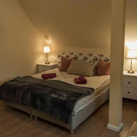 Wagner-nietzsche-villa Hotel apartamentowy *